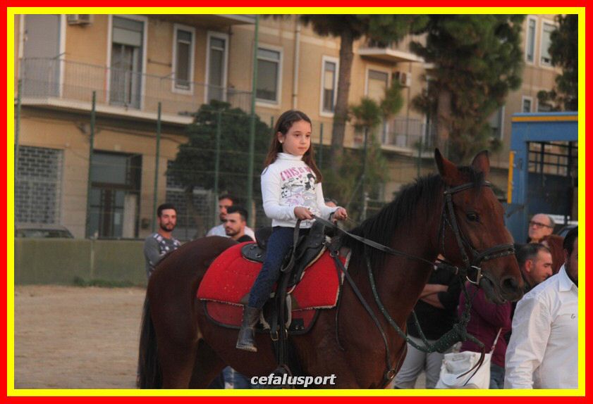 161106 equestre 152_tn.jpg